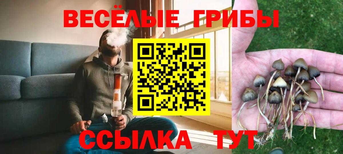 Галлюциногенные грибы мухоморы  где можно купить наркотик  Удомля  Псилоцибиновые грибы MAGIC MUSHROOMS  Вход с VPN 